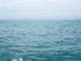 ripples sparkling on a calm ocean
