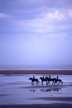 riding horses on the beach at dawn
