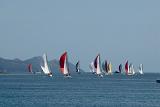 a flotilla of yachts heading on out in a racing regatta
