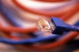 Red and blue ethernet cables and plug with selective focus to the connector for transmission of internet data on a computer in a technology and communication concept