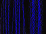 Blue oscilloscope tracing on black using a cathode-ray to measure the variations or oscillations in electric voltage and current